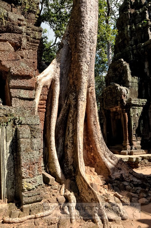 Photo-Angor-Wat-Cambodia-37.jpg