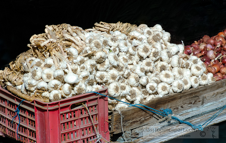 photo-cart-full-of-fresh-garlic-alexandria-egypt--5183e.jpg
