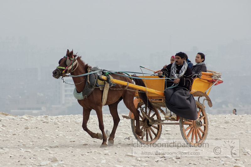 horse-and-cart-near-great-pyramids-photo_6895.jpg