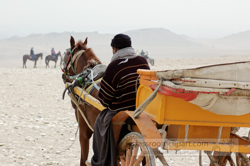horse-and-cart-near-great-pyramids-photo_6896.jpg