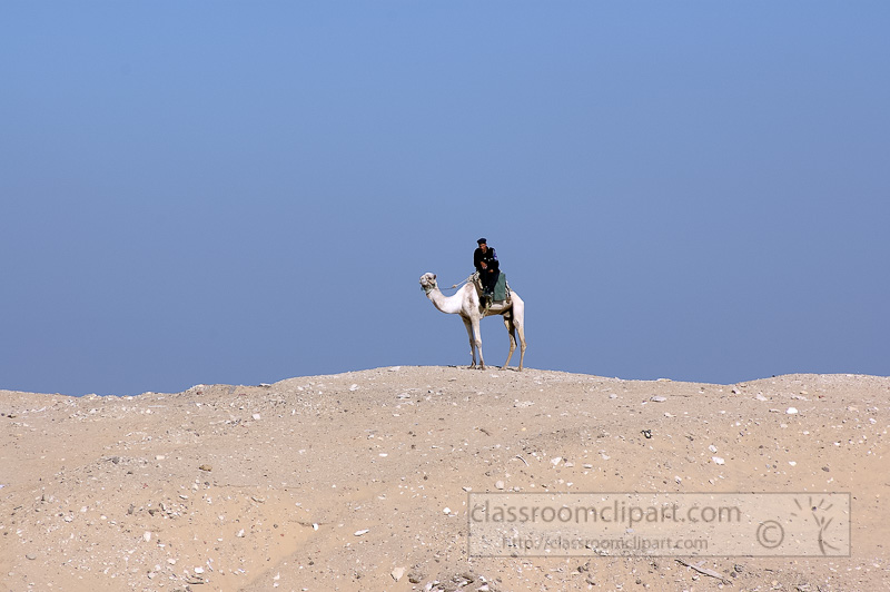 egyptain-guard-sitting-on-camel-photo-image-4938.jpg