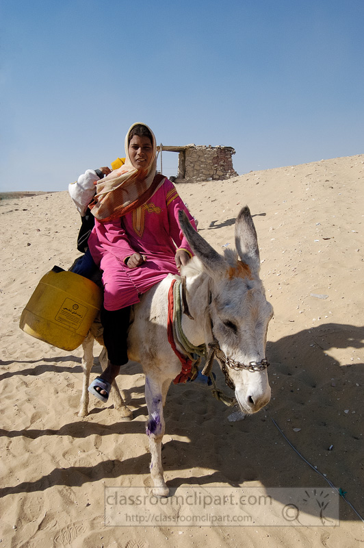 egyptian-girl-sitting-on-donkey-photo-image-1357b.jpg