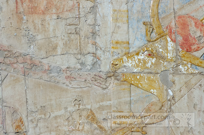 painted-bas-relief-hieroglyphics-temple-of-queen-hatshepsut-luxor-egypt-photo_5687a.jpg