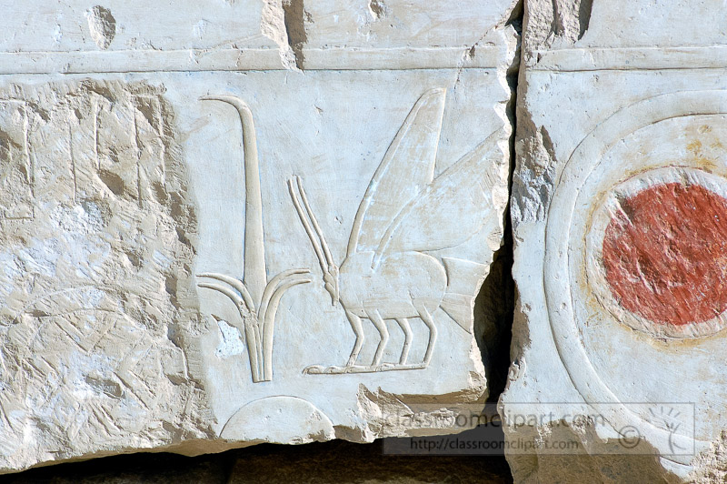 painted-bas-relief-hieroglyphics-temple-of-queen-hatshepsut-luxor-egypt-photo_5788a.jpg