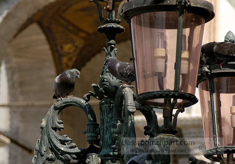Venice-Light-Post-with-Pegeons-Photo-1627LP.jpg