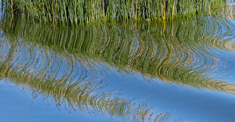 tortora-reeds-Uros-Island-Lake-Titicaca-415B.jpg