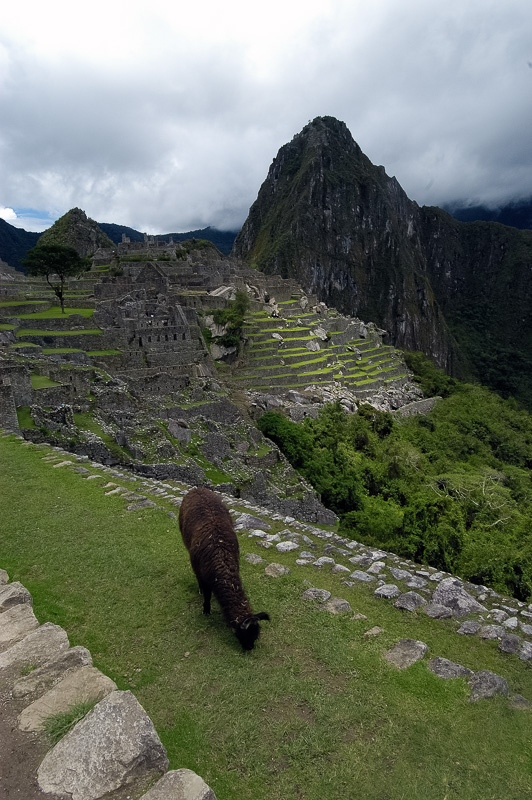 Inca-Ruins-Machu-Picchu-Peru_076-2.jpg