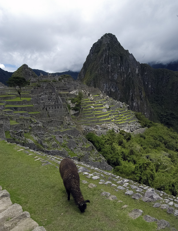 Inca-Ruins-Machu-Picchu-Peru_077.jpg