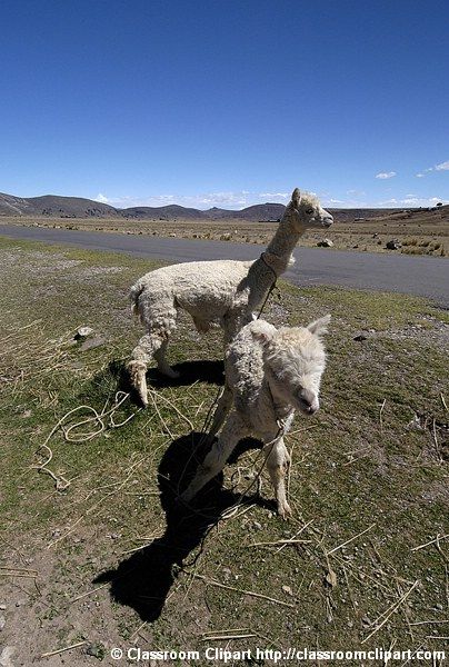 Peru_91_019.jpg