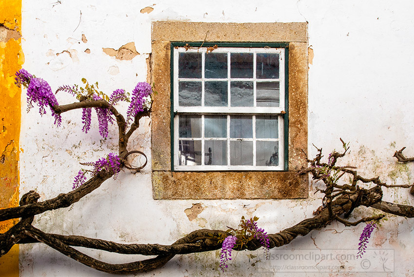 white-washed-building-cobble-stone-street-obidos-portugal-2.jpg