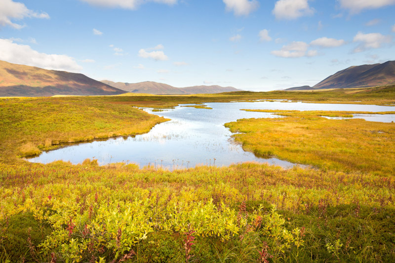 photo-scenic-view-of-beautiful-kodiak-national-wildlife-refuge.jpg