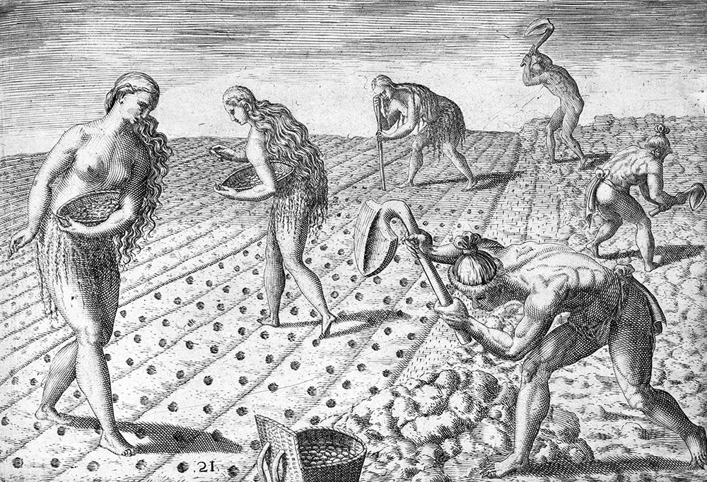 florida-indians-planting-seeds-of-beans-or-maize-1591.jpg