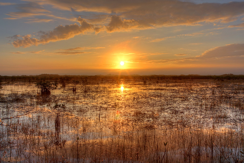 sunset-over-the-river-of-grass-florida.jpg