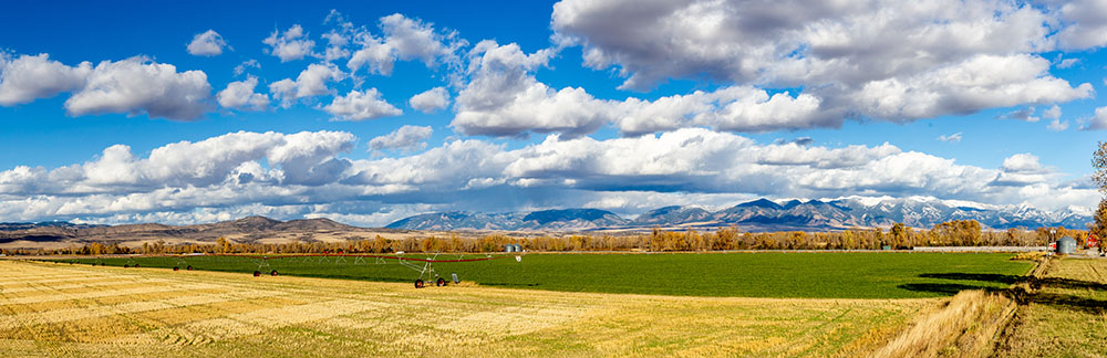 ranch-in-manhattan-montana-on-a-fall-afternoon.jpg