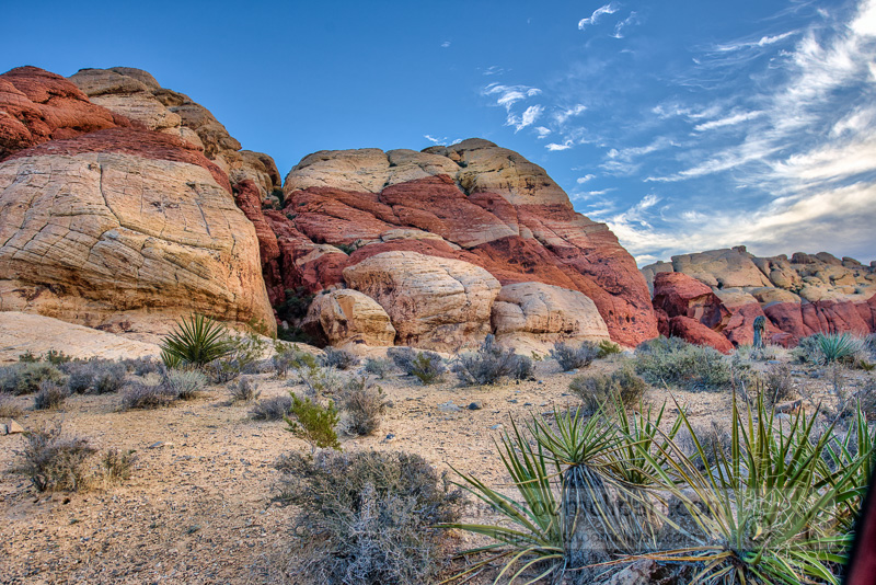 red-rock-canyon-mojave-desert-nevada-2886.jpg