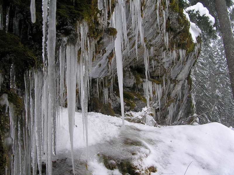 icicles-form-at-the-entrance-to-oregon-caves-901.jpg