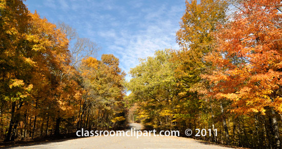 fall-color-tree-83b.jpg