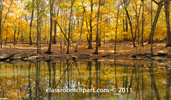 fall-follage-reflecting-in-pond.jpg