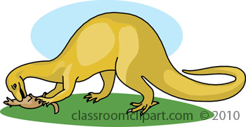 dinosaur_8610_17.jpg