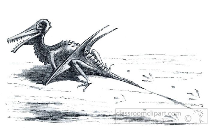 dinosaur-illustration_259A.jpg