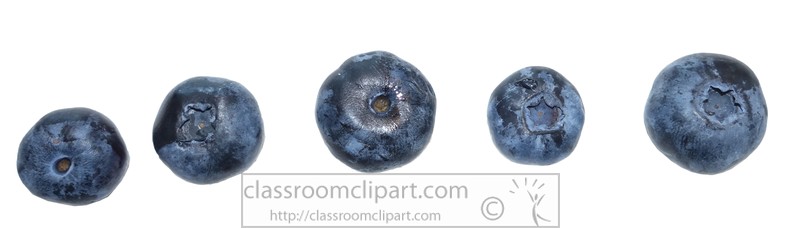 5-individual-blueberries-image-8933.jpg