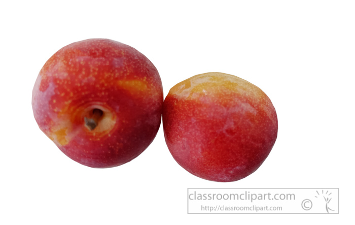photo-oject-two-plums-picture-720154.jpg