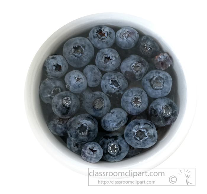small-bowl-blueberries-photo-object-image-9343-2.jpg