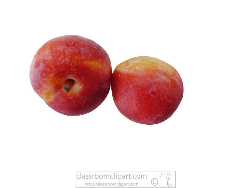 two-plums-photo-object-93343.jpg