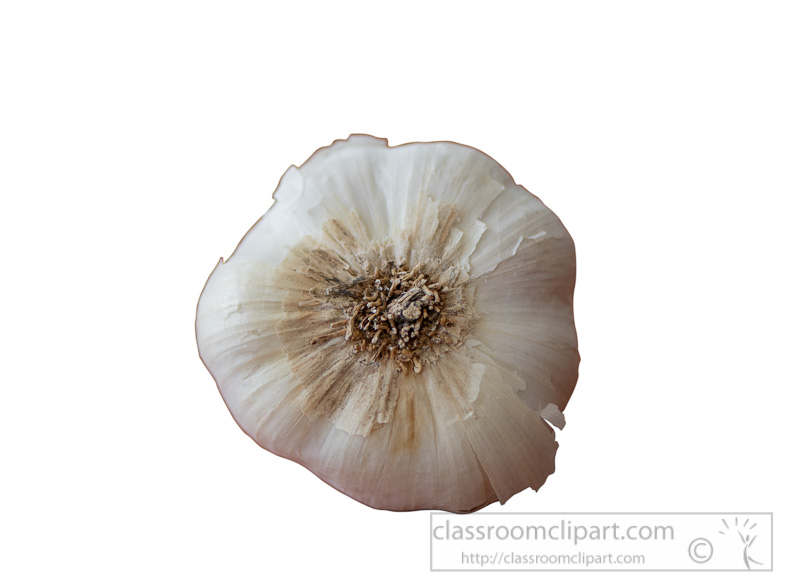 whole-garlic-cloves-with-white-background-photo-8509918.jpg