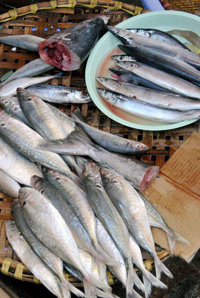 Fish for sale hanoi_15.jpg