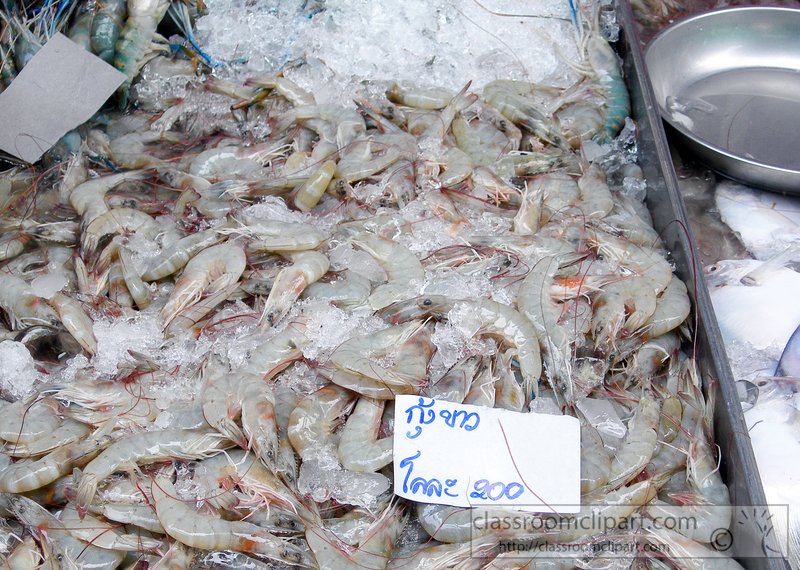 shrimp-on-ice-for-sale-at-market-042A.jpg
