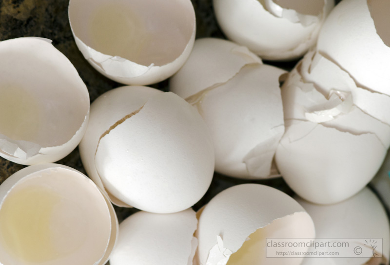 cracked-broken-egg-shells-picture-image3017.jpg