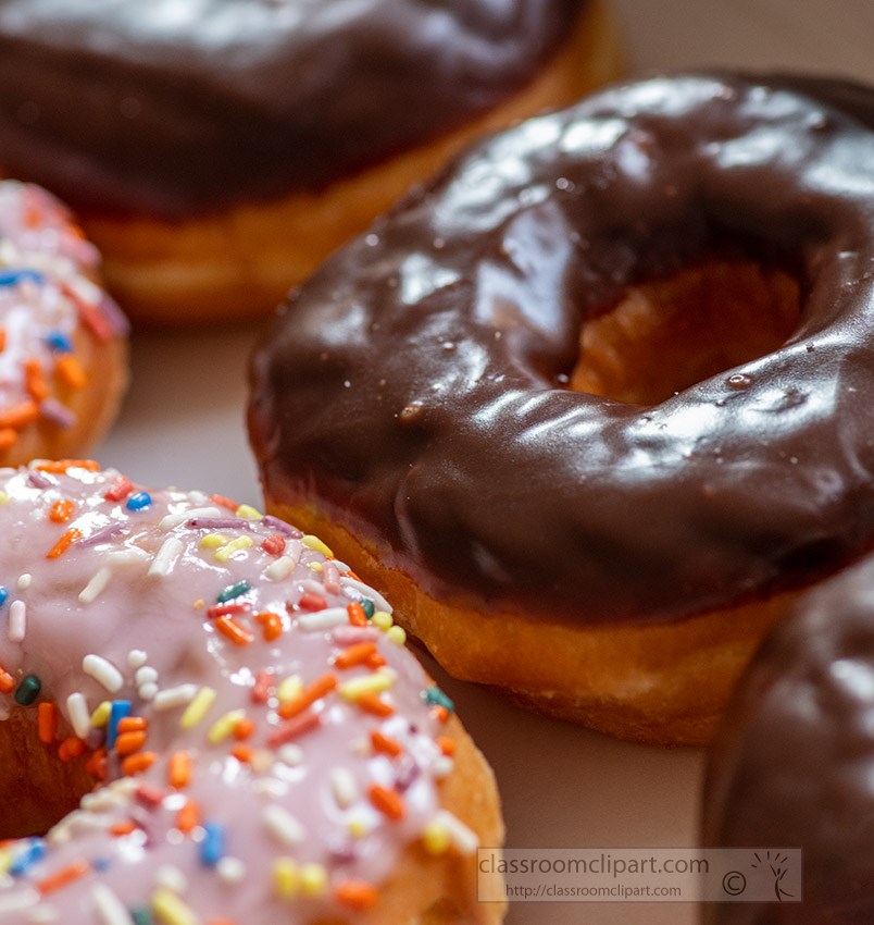 doughnuts-covered-with-chocolate-icing-and-sprinkes.jpg
