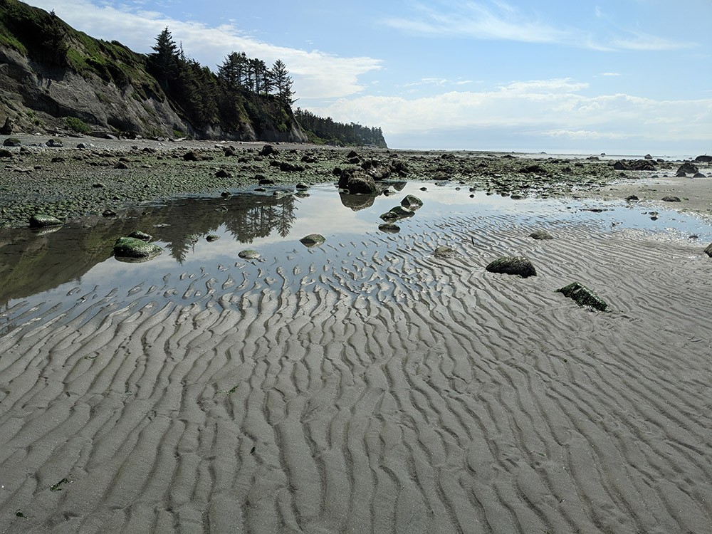 view-of-beach-on-whidbey-island-looking-south-washington.jpg