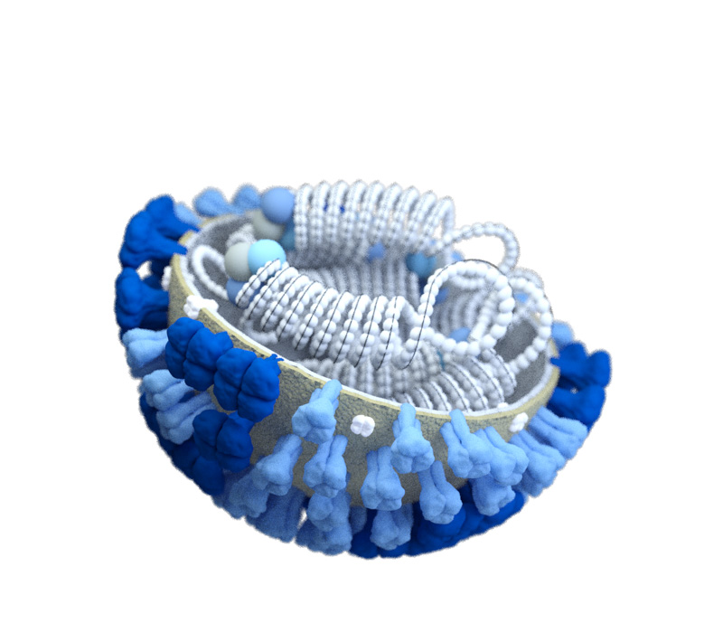 3D-computer-generated-rendering-flu-virus.jpg