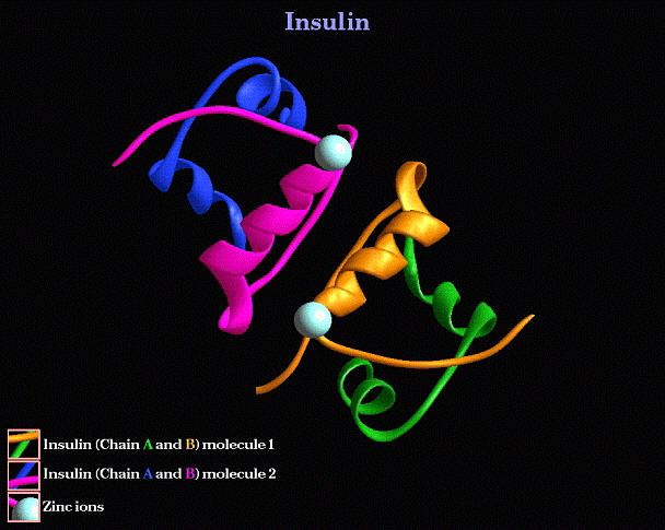 insulin1.jpg