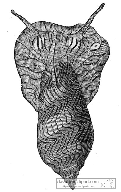 AKl2_508B.jpg