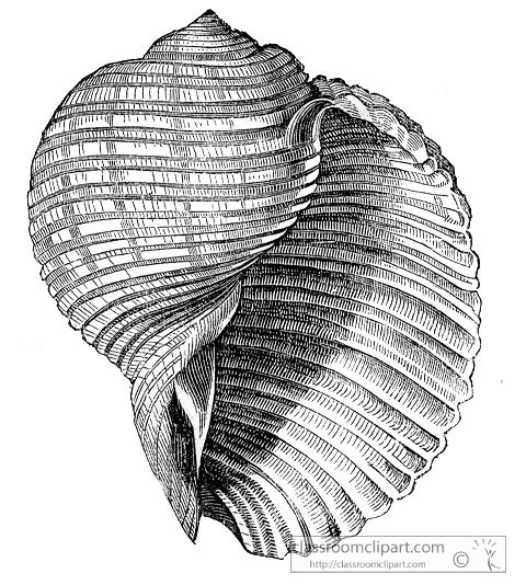 AKl2_511A.jpg