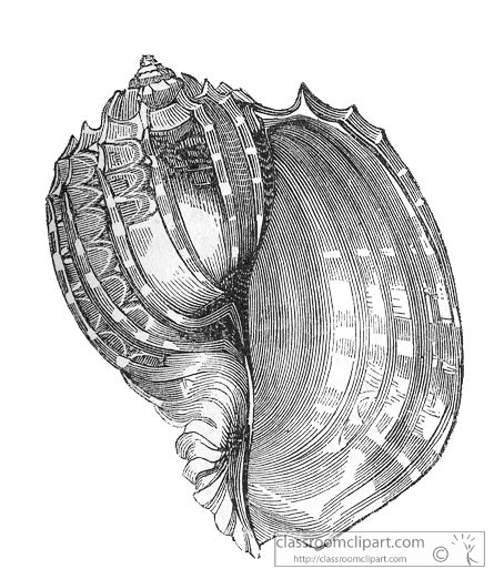 AKl2_511B.jpg