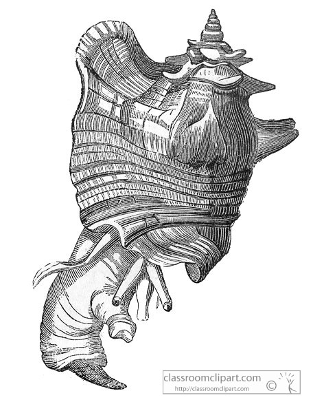 AKl2_512A.jpg