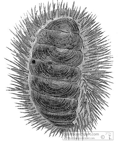 AKl2_515D.jpg