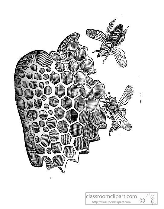 AKl2_558D.jpg