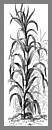 Click to View Full Clipart Image