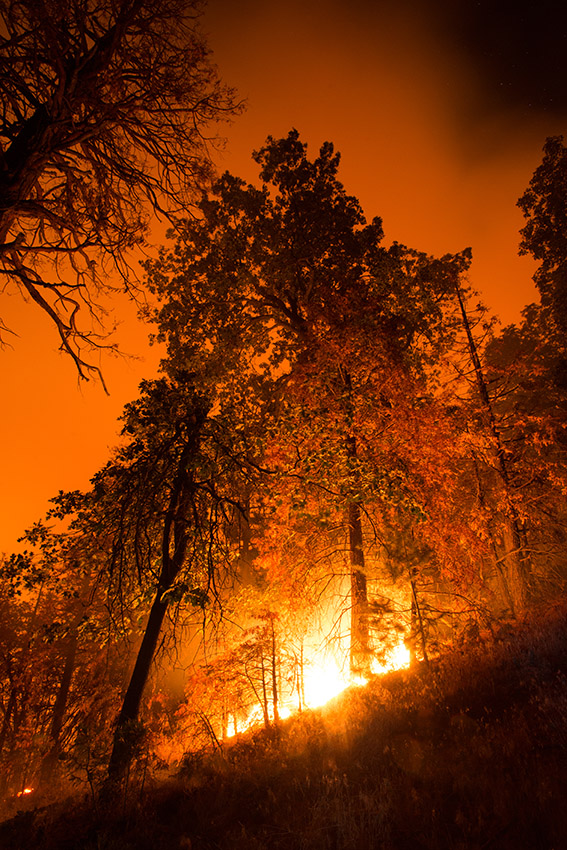 trees-on-fire-sequoia-national-forest.jpg