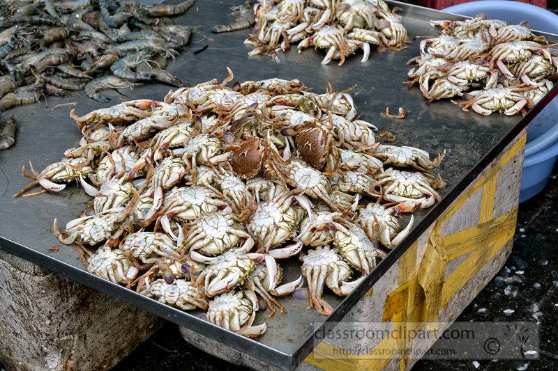 Fresh-Crabs-At-Outdoor-Market-photo-image-23.jpg