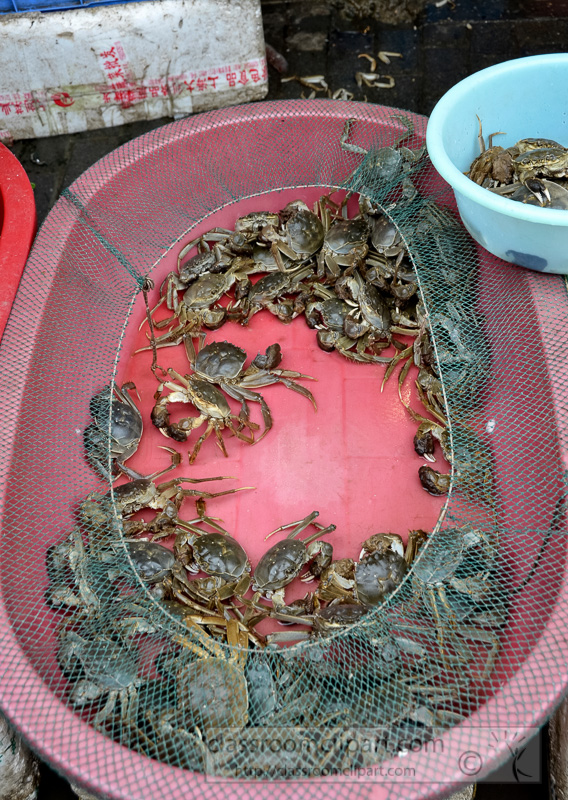 Fresh-Live-Crabs-At-Outdoor-Market-photo-image-44.jpg