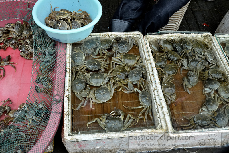 Fresh-Live-Crabs-At-Outdoor-Market-photo-image-45.jpg