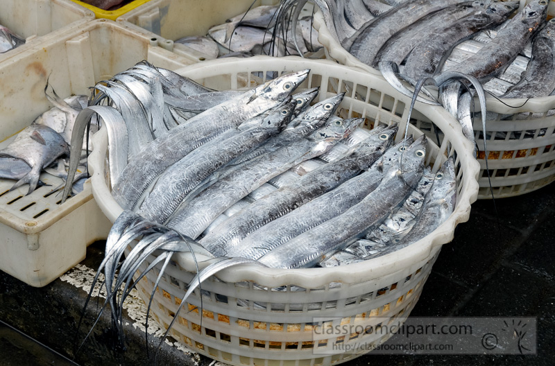 Fresh-seafood-for-sale-outdoor-market-stall-photo-image-27.jpg