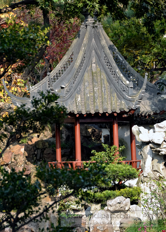 Traditional-Chinese-private-garden-photo-image-80.jpg