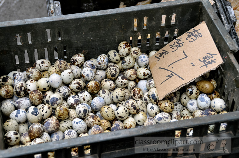 fresh-quail-eggs-in-wicker-baskets-for-sale-market-photo-image-57.jpg